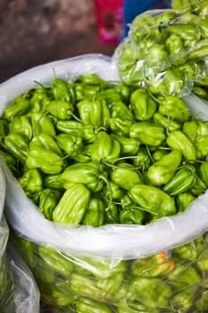Piment vert lavé 1 kilo