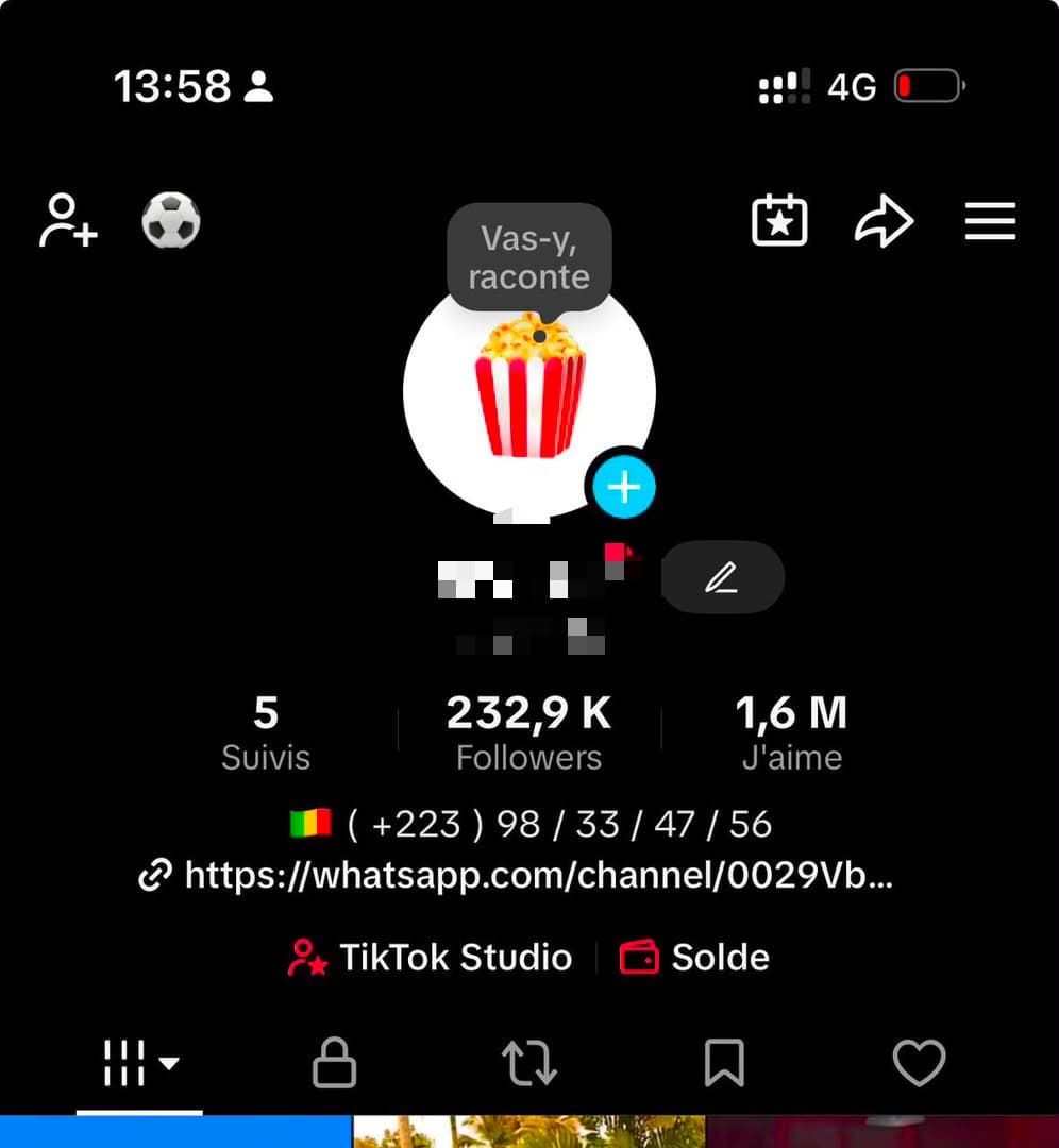 TIKTOK DE 232K ABONNÉ 🛍️